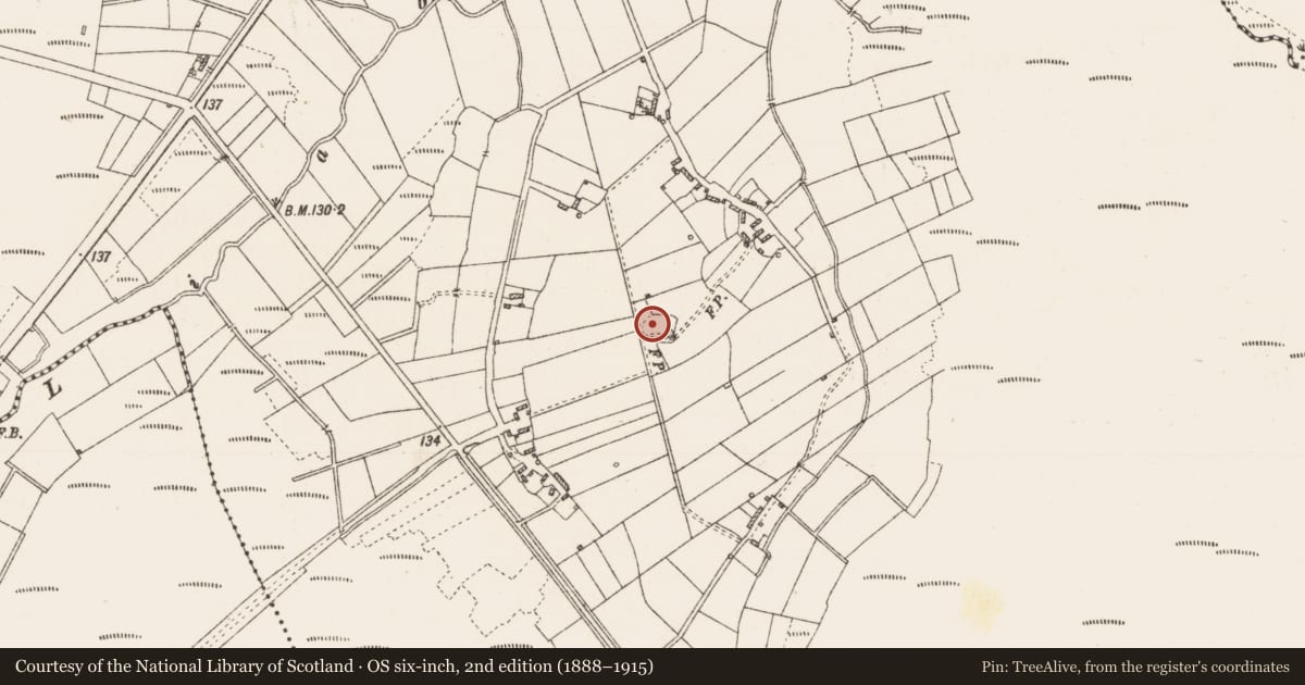 Ordnance Survey six-inch map, 2nd edition (1888–1915) covering the location of Ringfort - rath, Drinagh, County Roscommon, with a pin at the register's coordinates