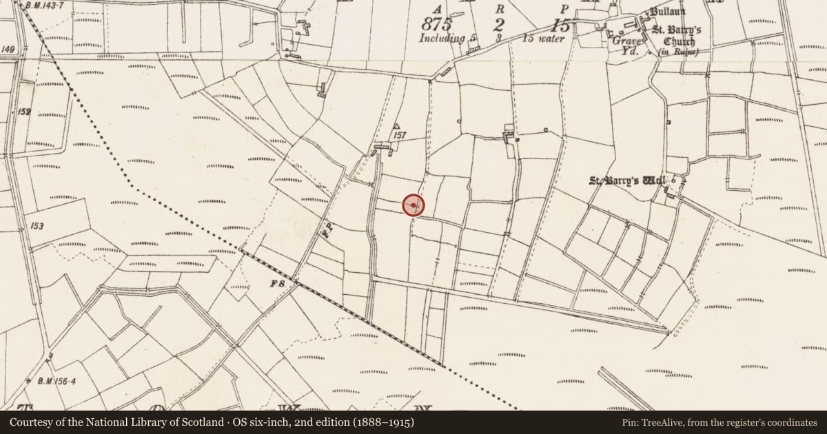 Ordnance Survey six-inch map, 2nd edition (1888–1915) covering the location of Road - gravel/stone trackway - peatland, Kilbarry, County Roscommon, with a pin at the register's coordinates