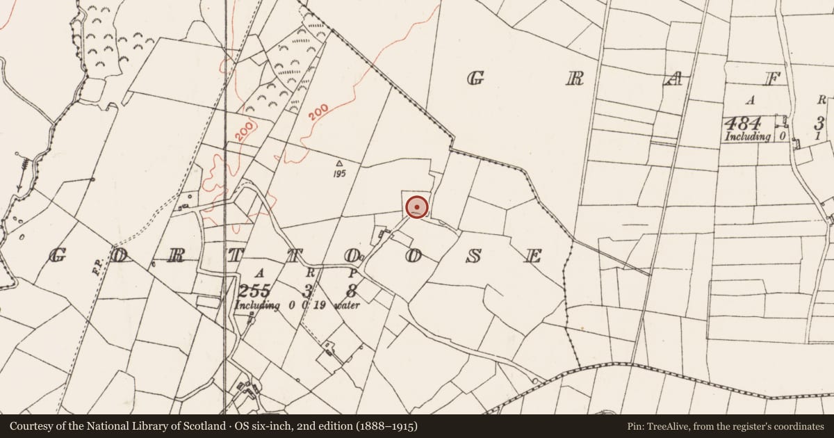 Ordnance Survey six-inch map, 2nd edition (1888–1915) covering the location of Settlement cluster, Gorttoose, County Roscommon, with a pin at the register's coordinates