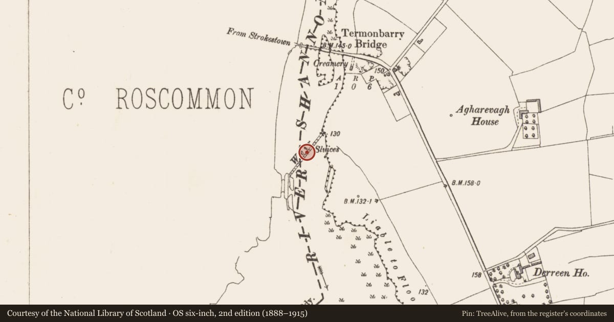 Ordnance Survey six-inch map, 2nd edition (1888–1915) covering the location of Weir - fish, Ballytoohey, County Roscommon, with a pin at the register's coordinates