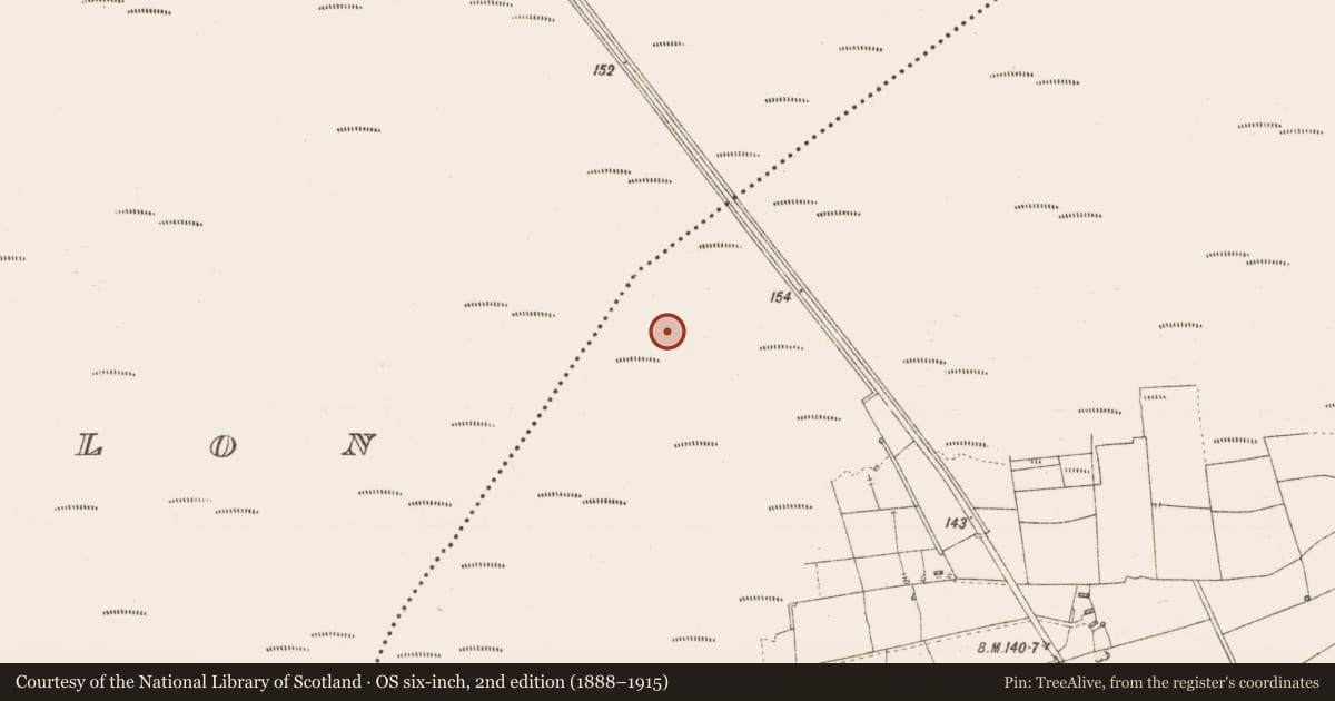 Ordnance Survey six-inch map, 2nd edition (1888–1915) covering the location of Road - gravel/stone trackway - peatland, Erra, County Roscommon, with a pin at the register's coordinates