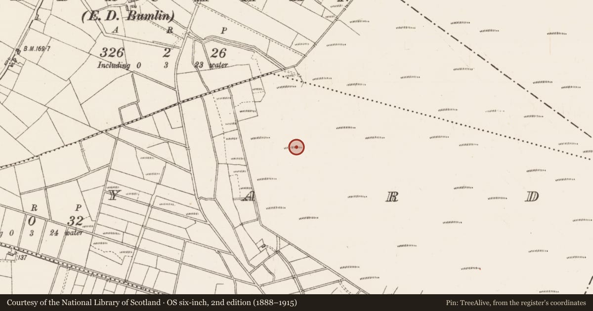 Ordnance Survey six-inch map, 2nd edition (1888–1915) covering the location of Road - class 1 togher, Northyard, County Roscommon, with a pin at the register's coordinates