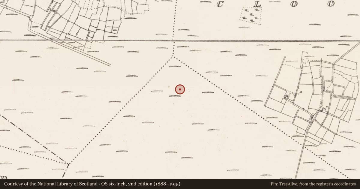 Ordnance Survey six-inch map, 2nd edition (1888–1915) covering the location of Road - class 1 togher, Caul, Cloonmore, County Roscommon, with a pin at the register's coordinates