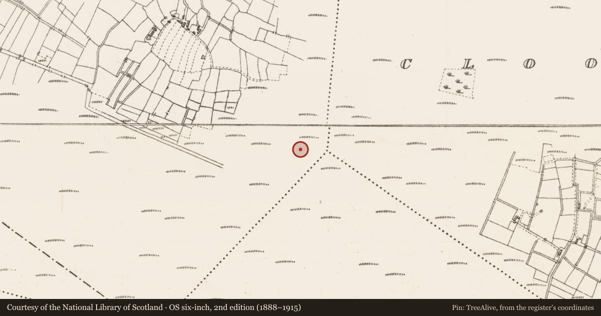 Ordnance Survey six-inch map, 2nd edition (1888–1915) covering the location of Platform - peatland, Caul, County Roscommon, with a pin at the register's coordinates