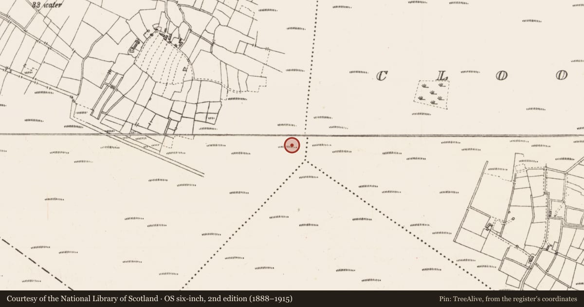 Ordnance Survey six-inch map, 2nd edition (1888–1915) covering the location of Platform - peatland, Caul, County Roscommon, with a pin at the register's coordinates