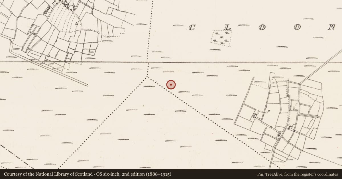 Ordnance Survey six-inch map, 2nd edition (1888–1915) covering the location of Platform - peatland, Cloonshannagh, County Roscommon, with a pin at the register's coordinates