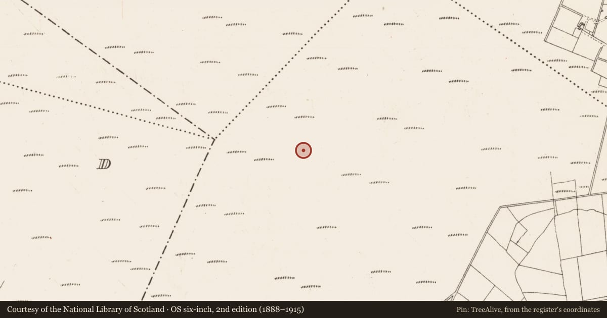 Ordnance Survey six-inch map, 2nd edition (1888–1915) covering the location of Platform - peatland, Cloonshannagh, County Roscommon, with a pin at the register's coordinates