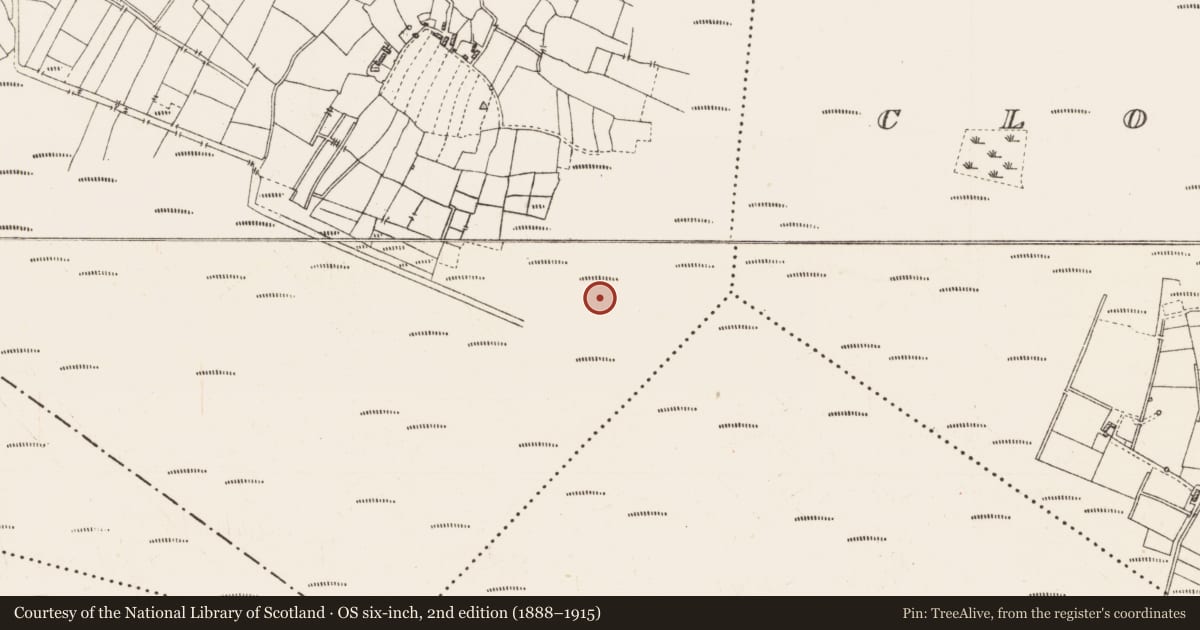 Ordnance Survey six-inch map, 2nd edition (1888–1915) covering the location of Platform - peatland, Caul, County Roscommon, with a pin at the register's coordinates