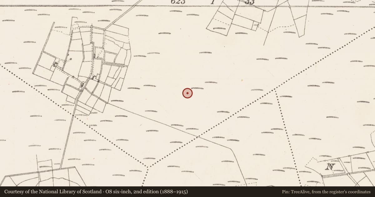 Ordnance Survey six-inch map, 2nd edition (1888–1915) covering the location of Platform - peatland, Cloonshannagh, County Roscommon, with a pin at the register's coordinates
