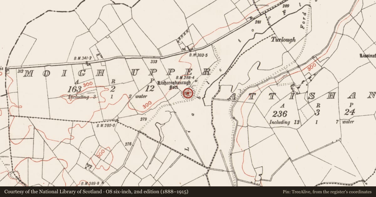 Ordnance Survey six-inch map, 2nd edition (1888–1915) covering the location of Ringfort - rath, Moigh Upper, County Roscommon, with a pin at the register's coordinates
