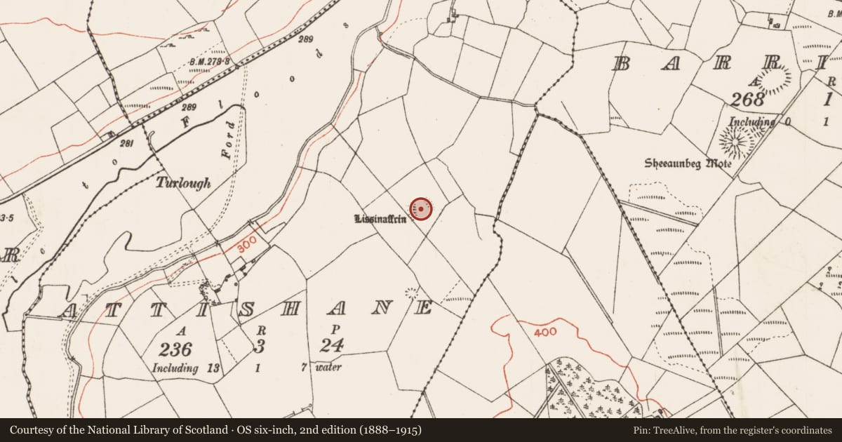 Ordnance Survey six-inch map, 2nd edition (1888–1915) covering the location of Ringfort - rath, Attishane, County Roscommon, with a pin at the register's coordinates
