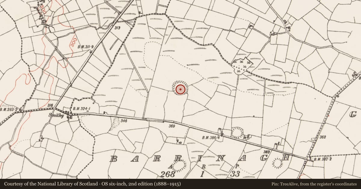 Ordnance Survey six-inch map, 2nd edition (1888–1915) covering the location of Ringfort - rath, Barrinagh, County Roscommon, with a pin at the register's coordinates