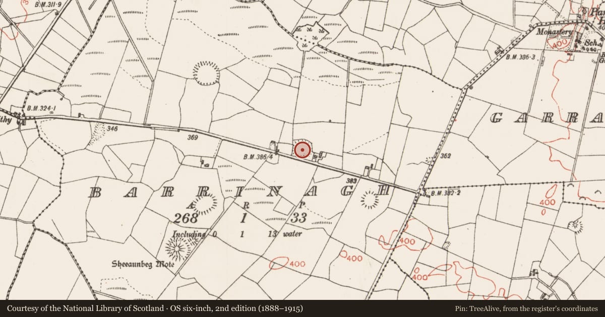 Ordnance Survey six-inch map, 2nd edition (1888–1915) covering the location of Ringfort - rath, Barrinagh, County Roscommon, with a pin at the register's coordinates