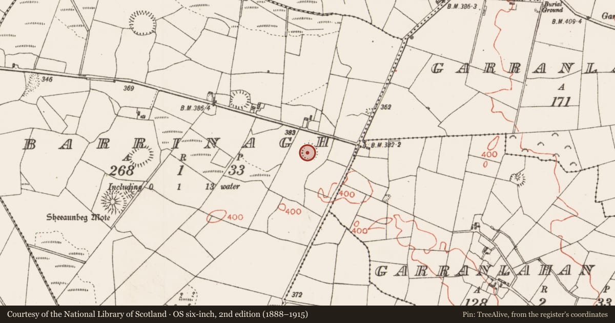 Ordnance Survey six-inch map, 2nd edition (1888–1915) covering the location of Ringfort - rath, Barrinagh, County Roscommon, with a pin at the register's coordinates