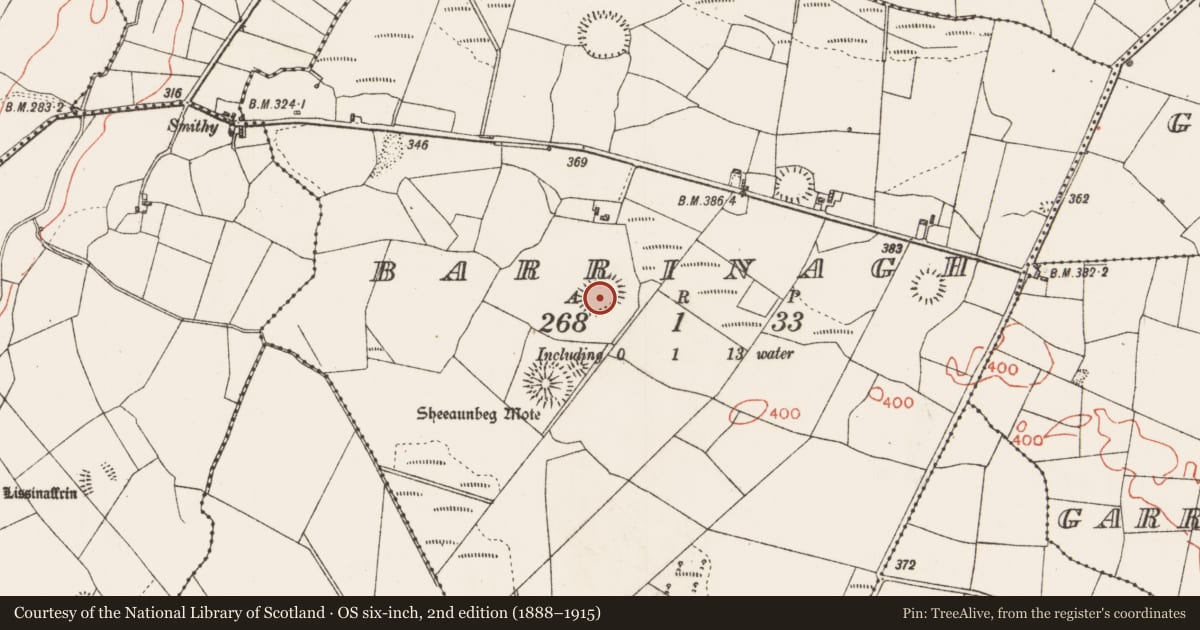 Ordnance Survey six-inch map, 2nd edition (1888–1915) covering the location of Ringfort - rath, Barrinagh, County Roscommon, with a pin at the register's coordinates