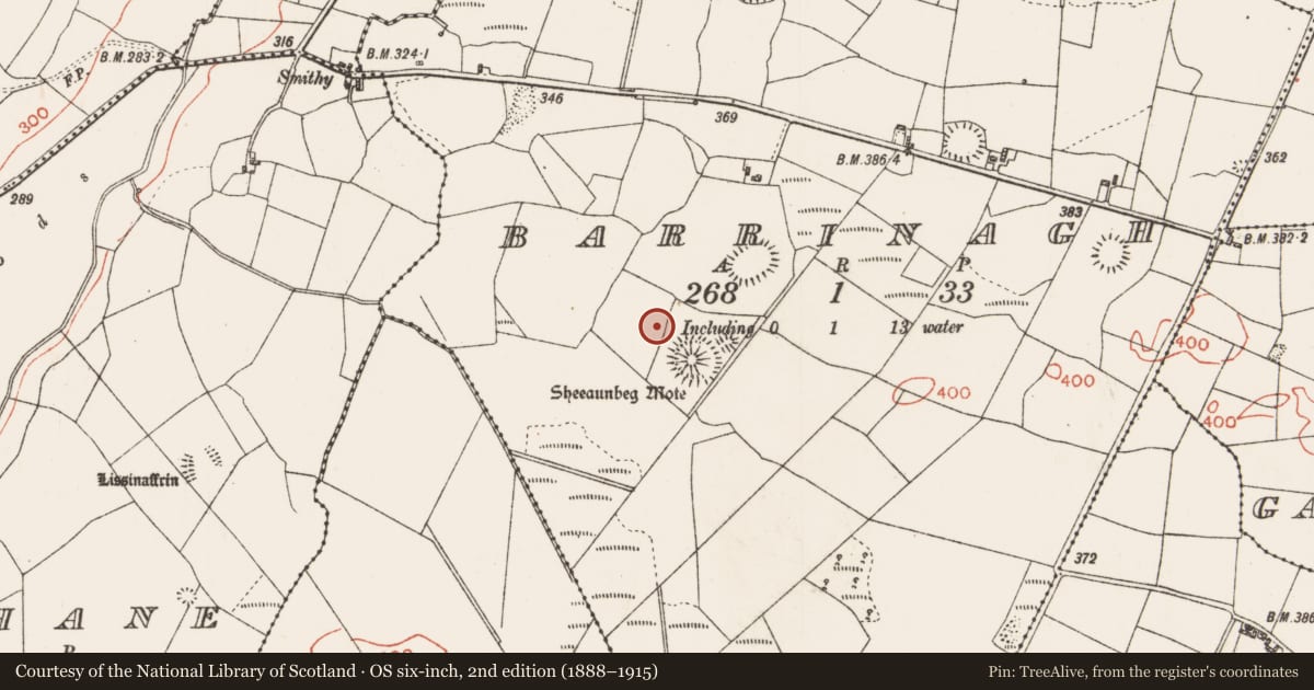 Ordnance Survey six-inch map, 2nd edition (1888–1915) covering the location of Field system, Barrinagh, County Roscommon, with a pin at the register's coordinates
