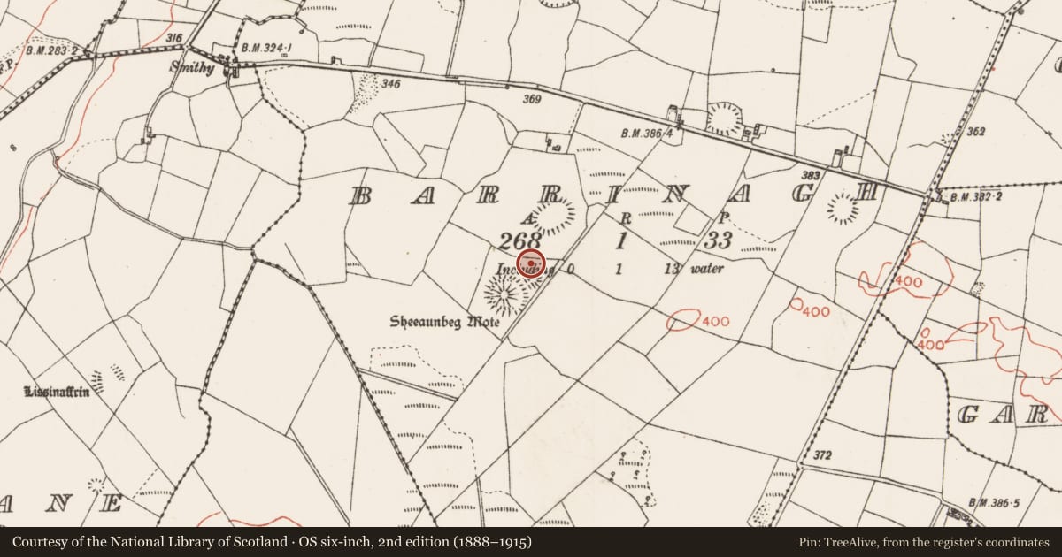 Ordnance Survey six-inch map, 2nd edition (1888–1915) covering the location of Road - road/trackway, Barrinagh, County Roscommon, with a pin at the register's coordinates