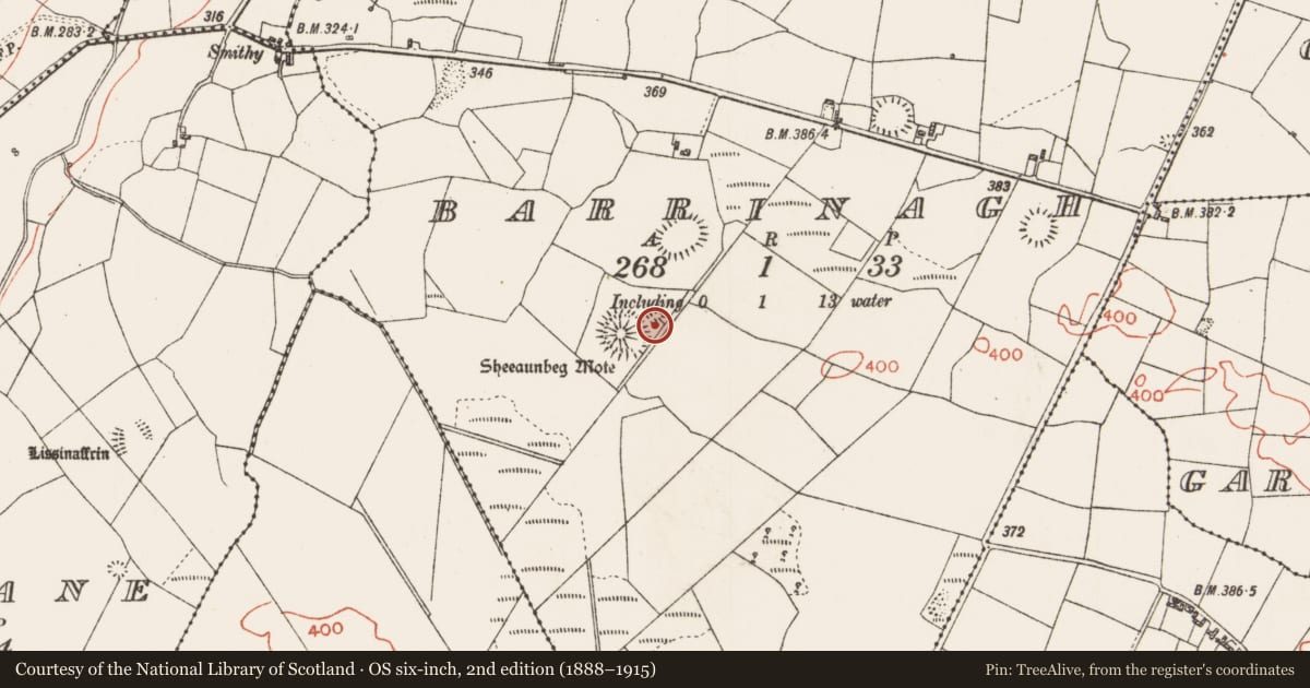 Ordnance Survey six-inch map, 2nd edition (1888–1915) covering the location of Mound, Barrinagh, County Roscommon, with a pin at the register's coordinates