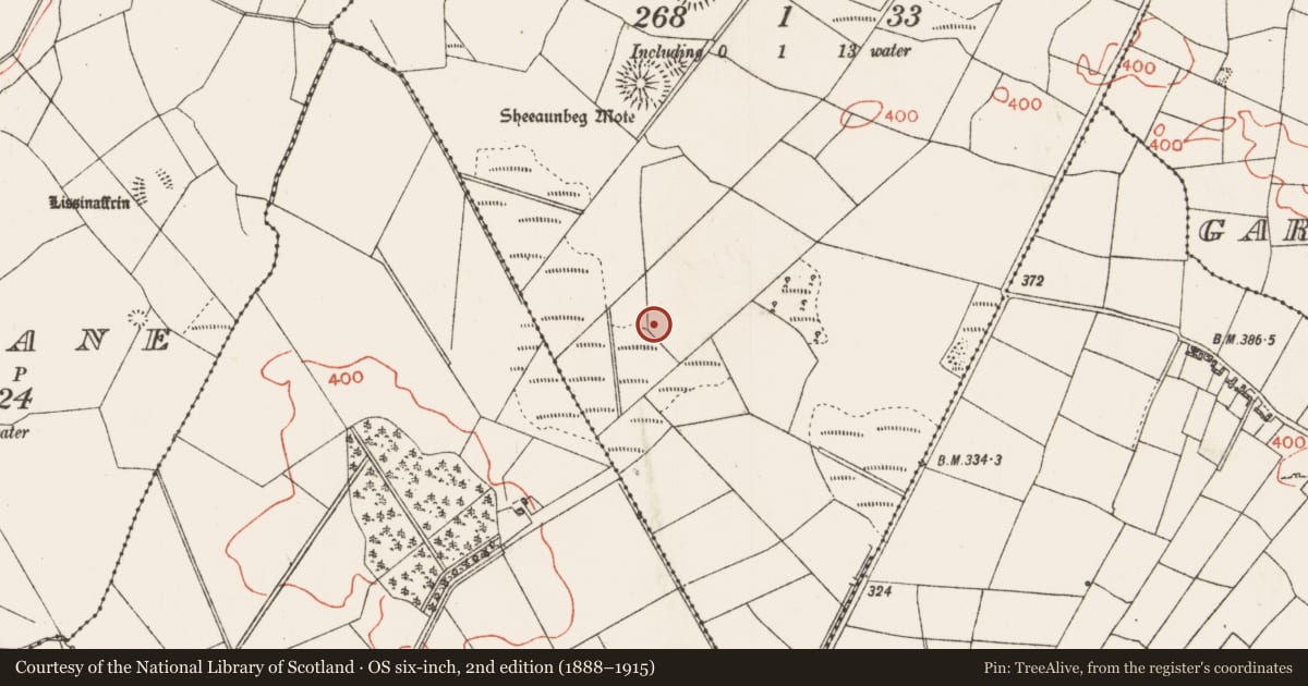 Ordnance Survey six-inch map, 2nd edition (1888–1915) covering the location of Megalithic tomb - wedge tomb, Barrinagh, County Roscommon, with a pin at the register's coordinates