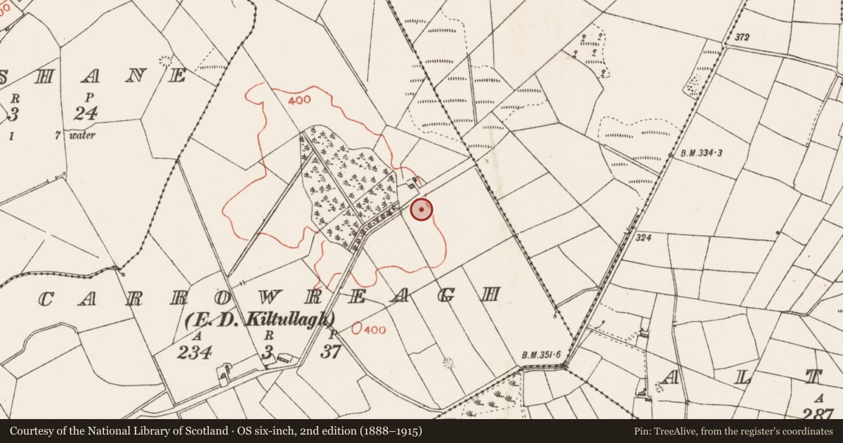 Ordnance Survey six-inch map, 2nd edition (1888–1915) covering the location of Ringfort - rath, Carrowreagh, County Roscommon, with a pin at the register's coordinates