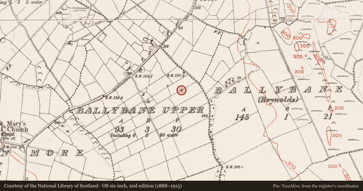 Ordnance Survey six-inch map, 2nd edition (1888–1915) covering the location of Children's burial ground, Ballybane Upper, County Roscommon, with a pin at the register's coordinates