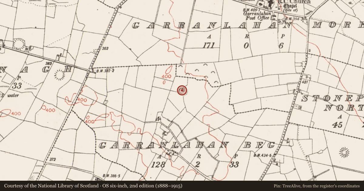 Ordnance Survey six-inch map, 2nd edition (1888–1915) covering the location of Hut site, Garranlahan Beg, County Roscommon, with a pin at the register's coordinates