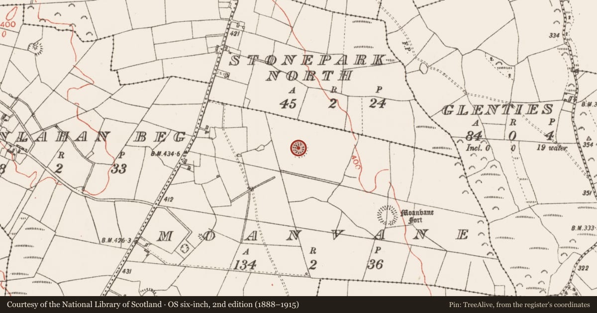 Ordnance Survey six-inch map, 2nd edition (1888–1915) covering the location of Ringfort - rath, Moanvane, County Roscommon, with a pin at the register's coordinates