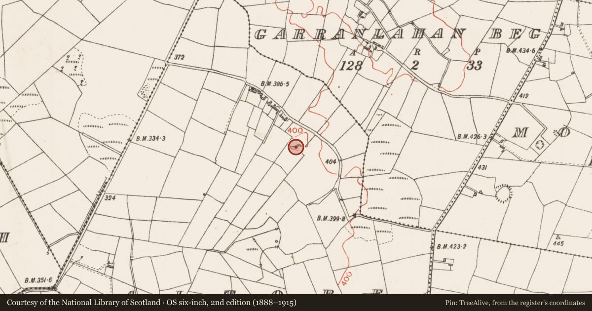Ordnance Survey six-inch map, 2nd edition (1888–1915) covering the location of Megalithic tomb - wedge tomb, Altore, County Roscommon, with a pin at the register's coordinates