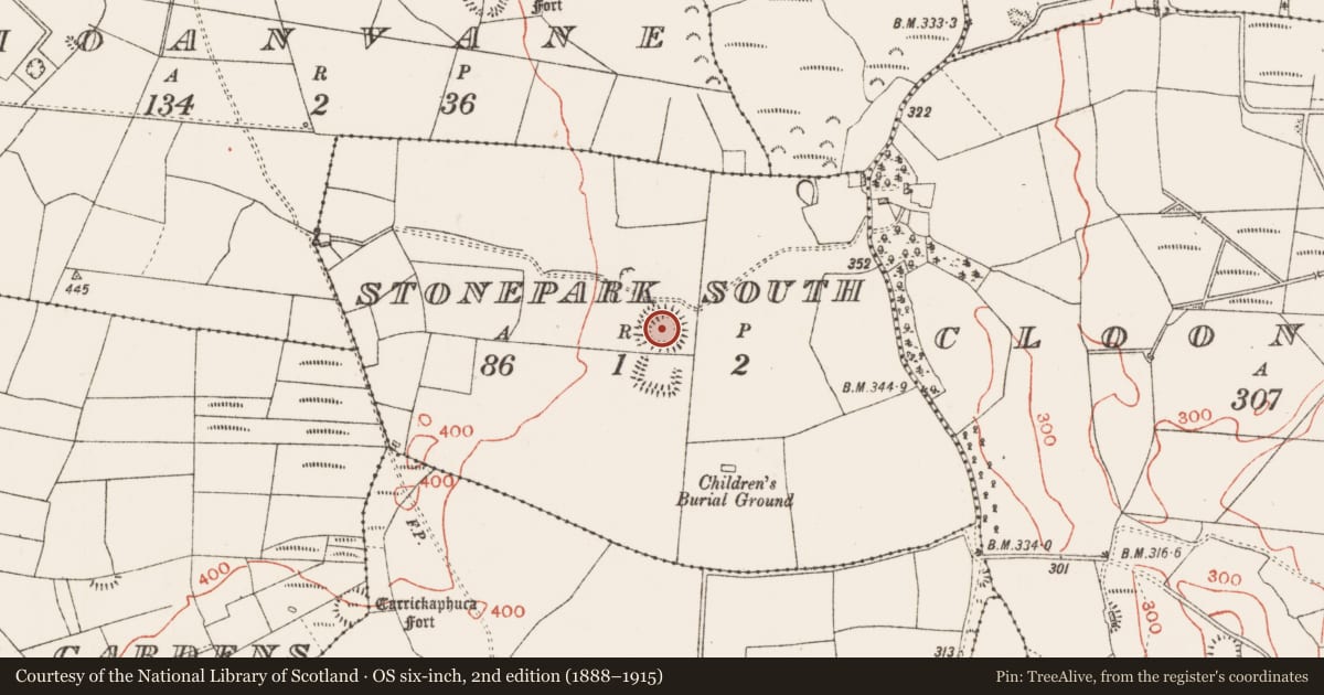 Ordnance Survey six-inch map, 2nd edition (1888–1915) covering the location of Ringfort - rath, Stonepark South, County Roscommon, with a pin at the register's coordinates
