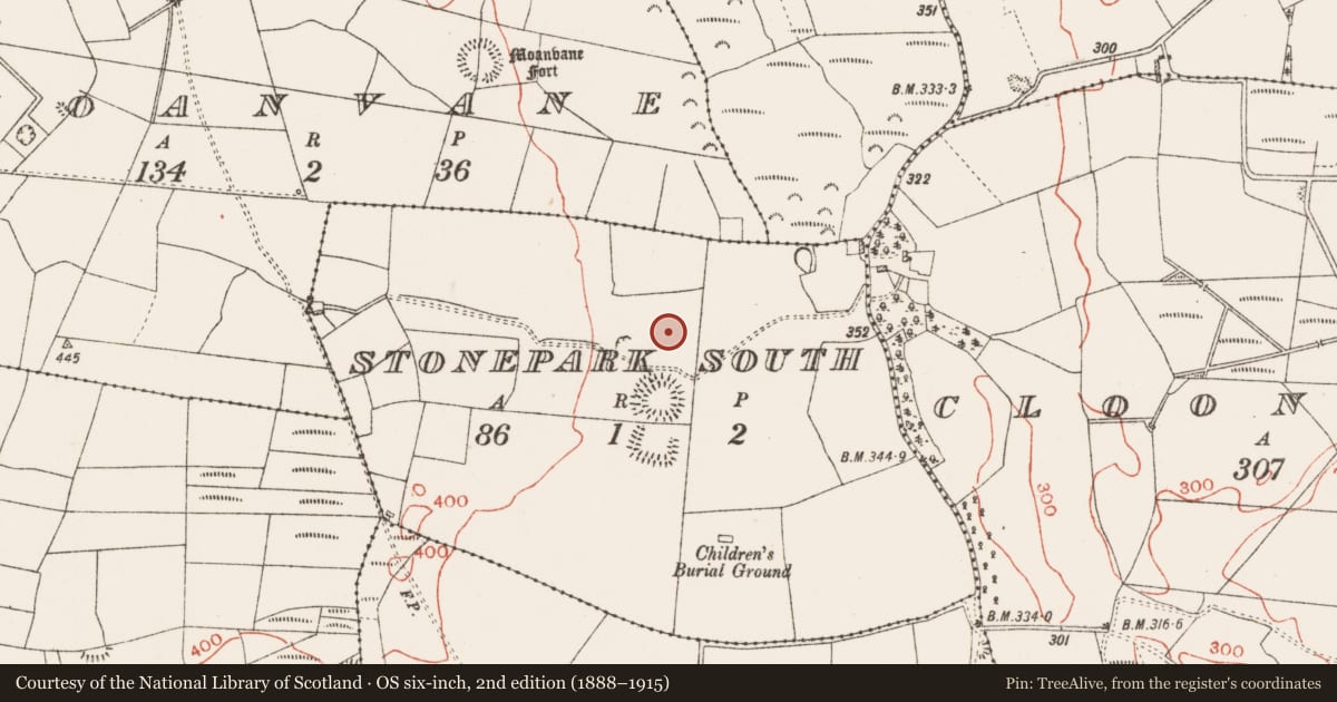Ordnance Survey six-inch map, 2nd edition (1888–1915) covering the location of Field system, Stonepark South, County Roscommon, with a pin at the register's coordinates