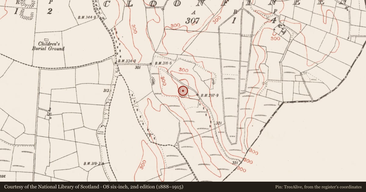 Ordnance Survey six-inch map, 2nd edition (1888–1915) covering the location of Ringfort - rath, Cloonfineen, County Roscommon, with a pin at the register's coordinates