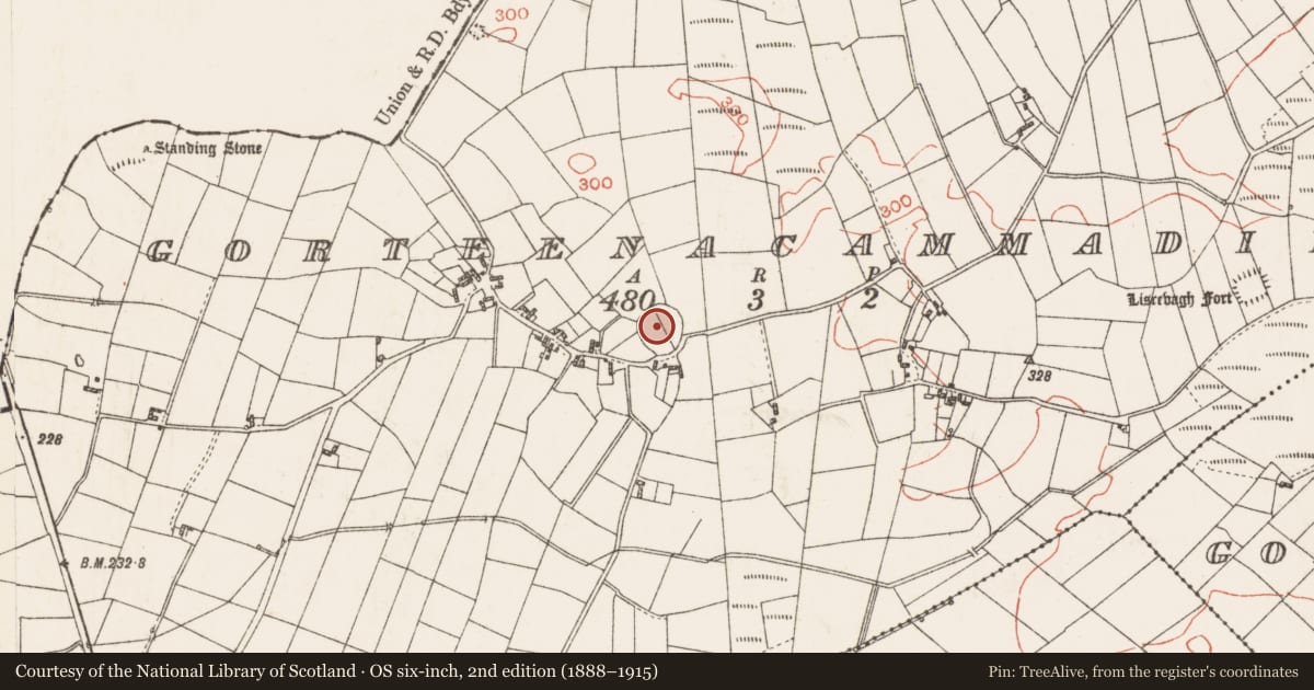 Ordnance Survey six-inch map, 2nd edition (1888–1915) covering the location of Ringfort - rath, Gorteenacammadil, County Roscommon, with a pin at the register's coordinates