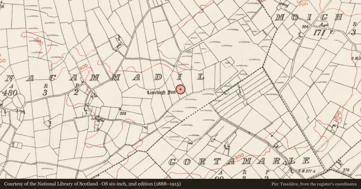 Ordnance Survey six-inch map, 2nd edition (1888–1915) covering the location of Ringfort - rath, Gorteenacammadil, County Roscommon, with a pin at the register's coordinates