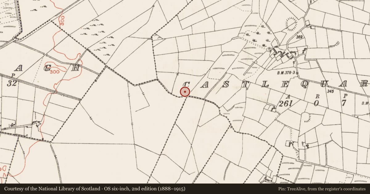 Ordnance Survey six-inch map, 2nd edition (1888–1915) covering the location of Megalithic tomb - wedge tomb, Castlequarter, County Roscommon, with a pin at the register's coordinates