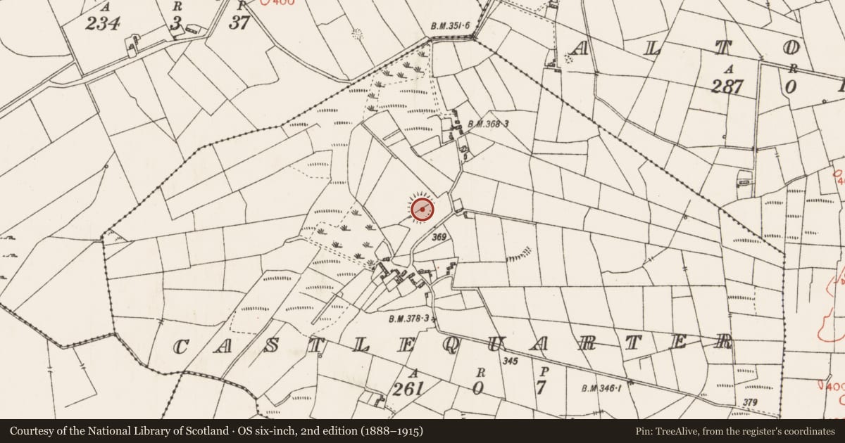 Ordnance Survey six-inch map, 2nd edition (1888–1915) covering the location of Castle - unclassified, Castlequarter, County Roscommon, with a pin at the register's coordinates