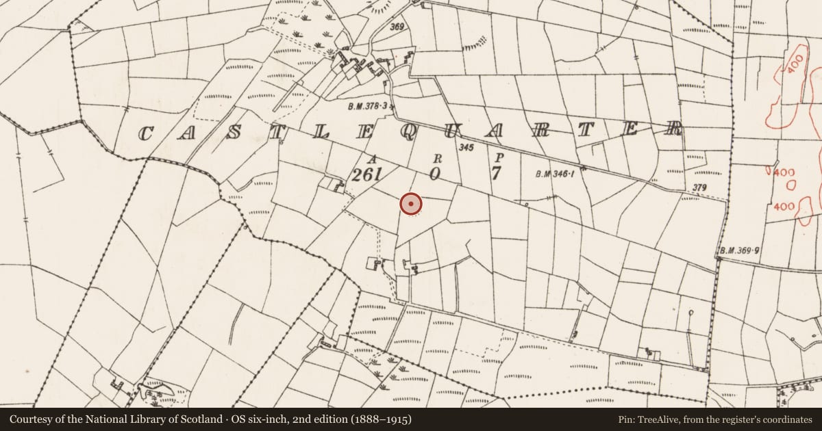Ordnance Survey six-inch map, 2nd edition (1888–1915) covering the location of Ringfort - rath, Castlequarter, County Roscommon, with a pin at the register's coordinates