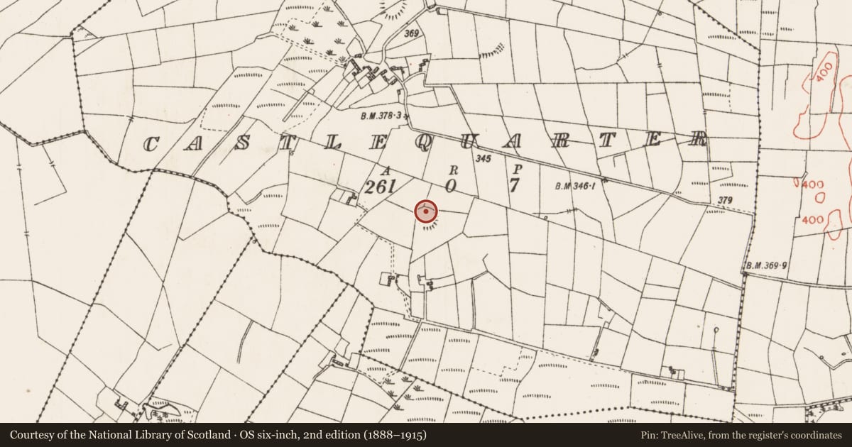 Ordnance Survey six-inch map, 2nd edition (1888–1915) covering the location of Children's burial ground, Castlequarter, County Roscommon, with a pin at the register's coordinates