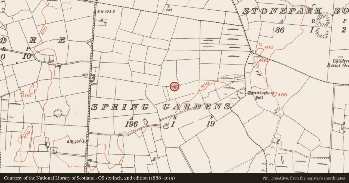 Ordnance Survey six-inch map, 2nd edition (1888–1915) covering the location of Earthwork, Spring Gardens, County Roscommon, with a pin at the register's coordinates