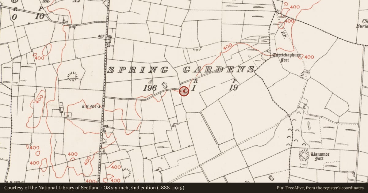 Ordnance Survey six-inch map, 2nd edition (1888–1915) covering the location of Quarry, Spring Gardens, County Roscommon, with a pin at the register's coordinates