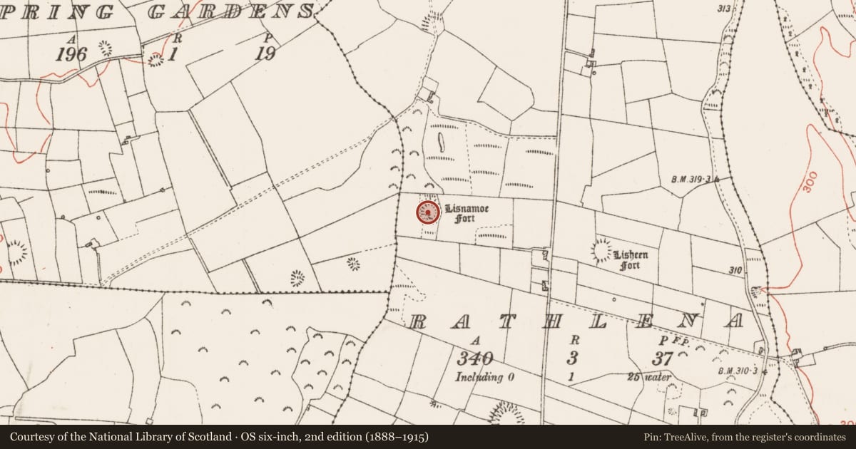 Ordnance Survey six-inch map, 2nd edition (1888–1915) covering the location of Ringfort - rath, Rathlena, County Roscommon, with a pin at the register's coordinates