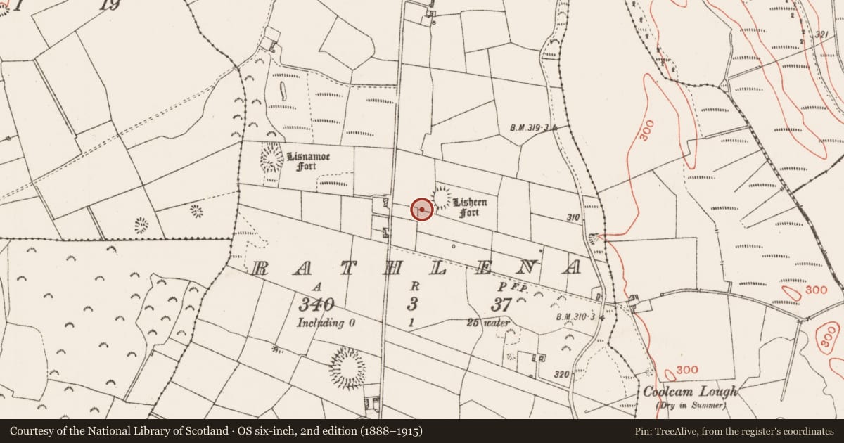 Ordnance Survey six-inch map, 2nd edition (1888–1915) covering the location of Standing stone, Rathlena, County Roscommon, with a pin at the register's coordinates