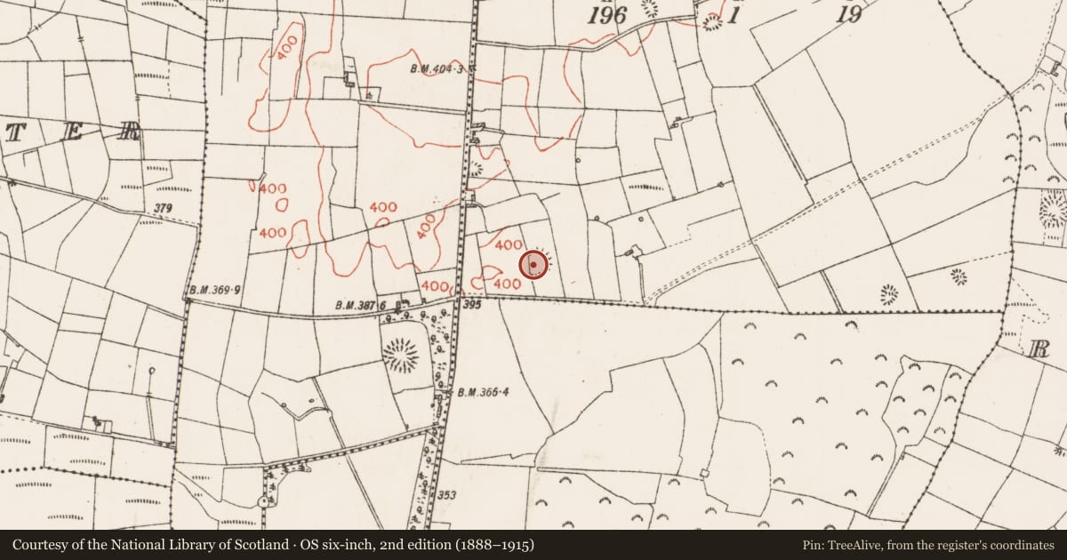 Ordnance Survey six-inch map, 2nd edition (1888–1915) covering the location of Ringfort - rath, Spring Gardens, County Roscommon, with a pin at the register's coordinates