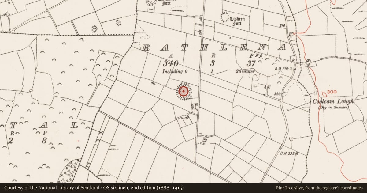 Ordnance Survey six-inch map, 2nd edition (1888–1915) covering the location of Ringfort - rath, Rathlena, County Roscommon, with a pin at the register's coordinates