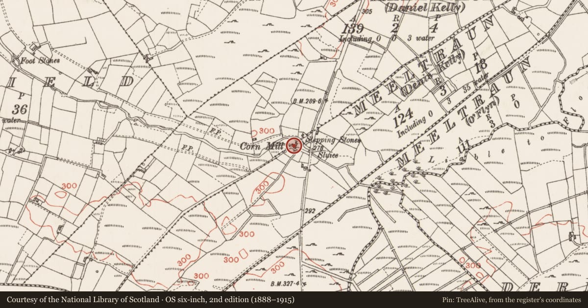 Ordnance Survey six-inch map, 2nd edition (1888–1915) covering the location of Water mill - horizontal-wheeled, Meeltraun (Denis Kelly), County Roscommon, with a pin at the register's coordinates