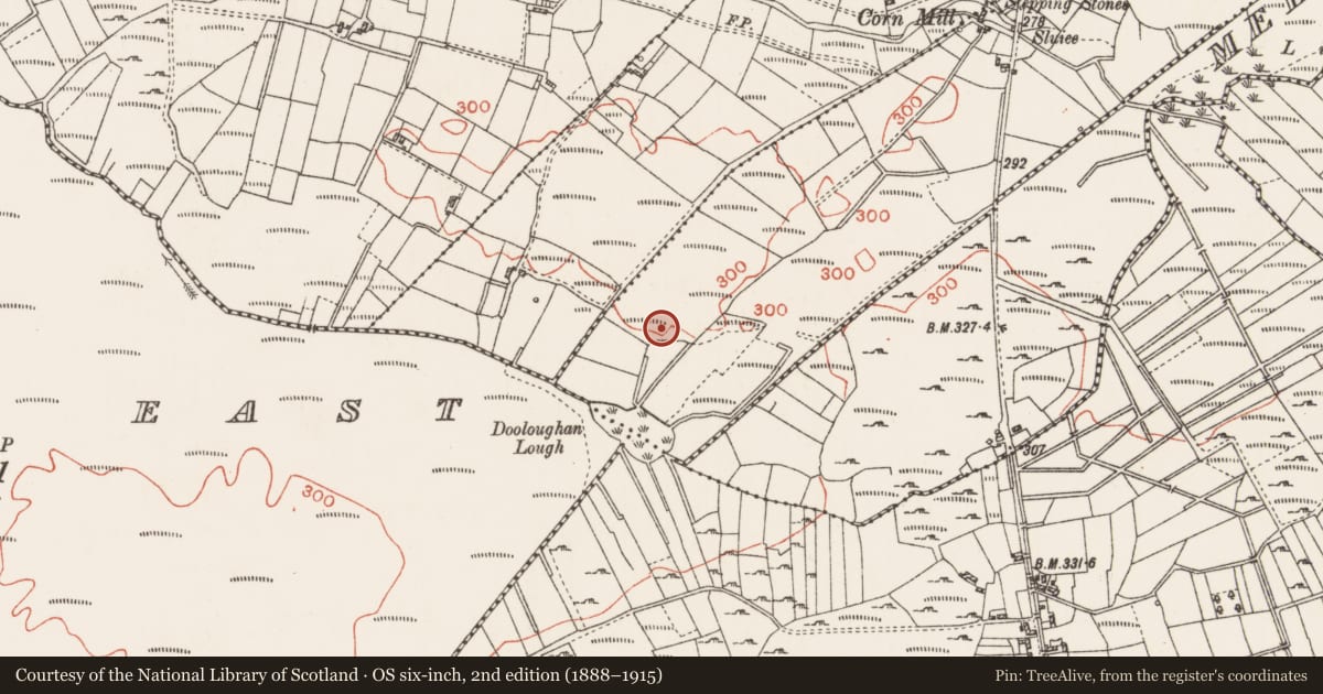 Ordnance Survey six-inch map, 2nd edition (1888–1915) covering the location of Children's burial ground, Meeltraun (Denis Kelly), County Roscommon, with a pin at the register's coordinates