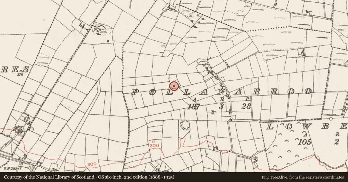 Ordnance Survey six-inch map, 2nd edition (1888–1915) covering the location of Ringfort - rath, Pollanarroo, County Roscommon, with a pin at the register's coordinates