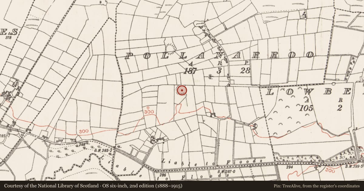 Ordnance Survey six-inch map, 2nd edition (1888–1915) covering the location of Ringfort - rath, Pollanarroo, County Roscommon, with a pin at the register's coordinates