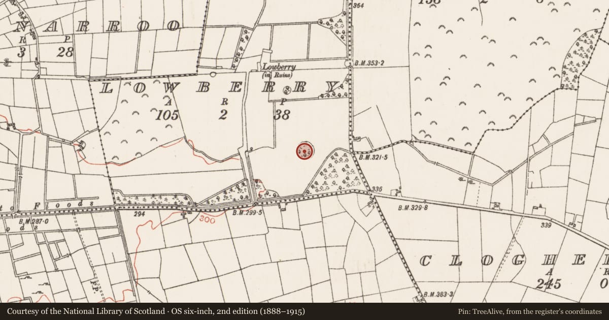 Ordnance Survey six-inch map, 2nd edition (1888–1915) covering the location of Designed landscape - tree-ring, Lowberry, County Roscommon, with a pin at the register's coordinates