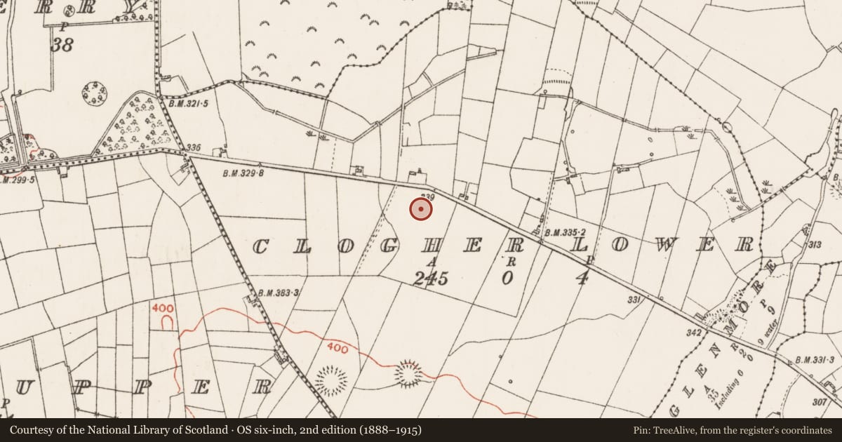 Ordnance Survey six-inch map, 2nd edition (1888–1915) covering the location of Ringfort - rath, Clogher Lower, County Roscommon, with a pin at the register's coordinates