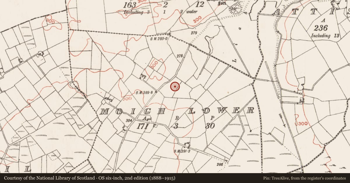 Ordnance Survey six-inch map, 2nd edition (1888–1915) covering the location of Fulacht fia, Moigh Lower, County Roscommon, with a pin at the register's coordinates